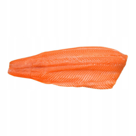 Łosoś norweski filet ze skórą 10 kg - mrożony, najwyższa jakość, hurtownia O-fish.pl
