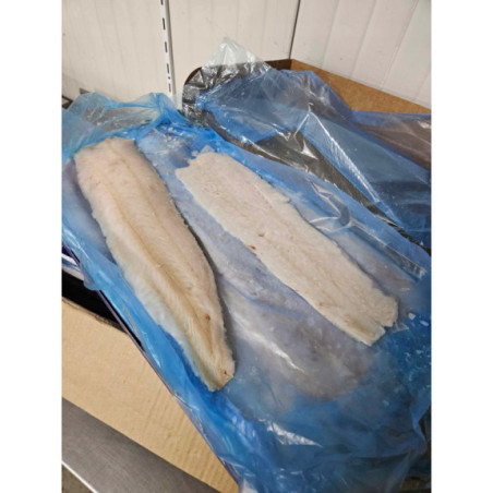 Miruna Nowozelandzka Filety mrożone bez skóry i ości 6,8kg - O-fish.pl