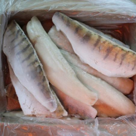 5 kg Filet z Sandacza Mrożony | Hurtownia Ryb O-fish.pl