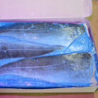 Dorsz Atlantycki Filet ze Skórą Mrożony 7 kg | Hurtownia O-fish.pl