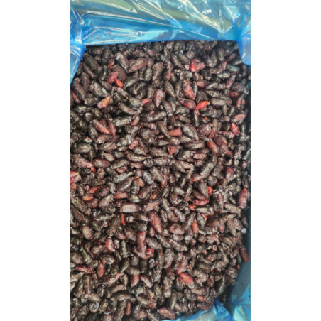 Jagoda kamczacka mrożona 10 kg - naturalne owoce pełne witamin | O-fish.pl