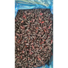 Jagoda kamczacka mrożona 10 kg - naturalne owoce pełne witamin | O-fish.pl