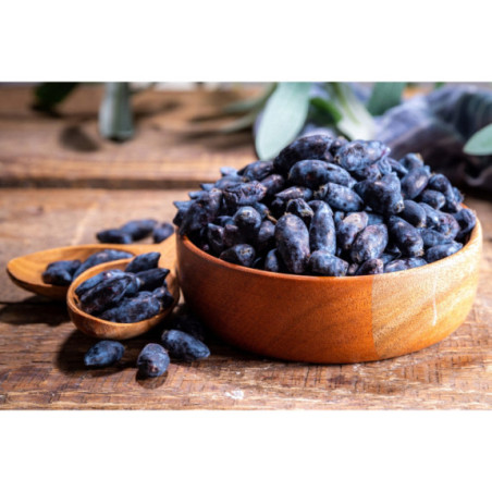 Jagoda kamczacka mrożona 10 kg - naturalne owoce pełne witamin | O-fish.pl