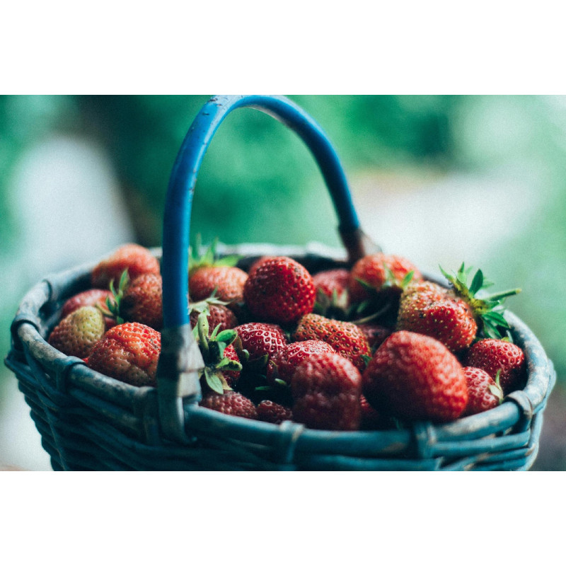 Truskawki mrożone duże premium 5 kg | Owoce mrożone | O-fish.pl