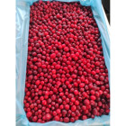 Żurawina mrożona 5 kg | Owoce mrożone | O-fish.pl