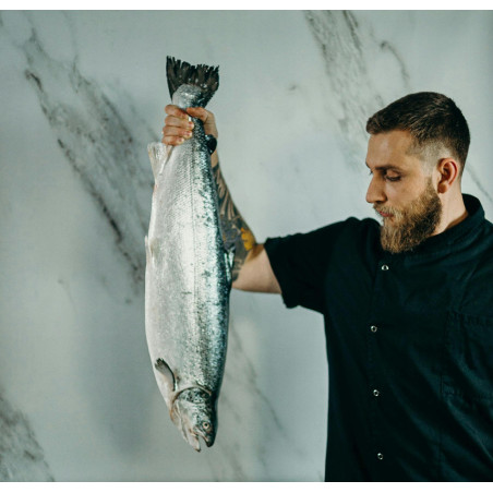 Steki z łososia dzikiego dzwonki 2 kg - Jakość Premium | O-fish.pl