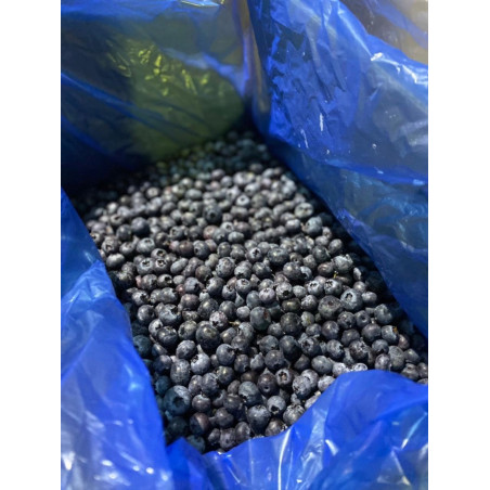 Borówka amerykańska mrożona 10 kg IQF dla gastronomi | Hurtownia O-fish.pl