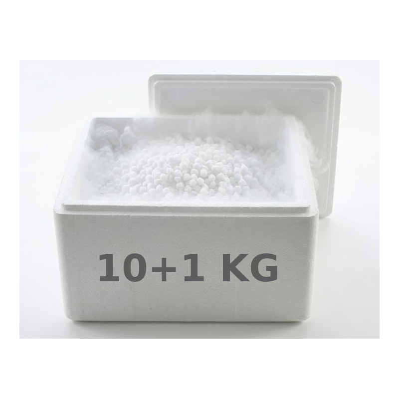 Suchy lód 10+1 KG STYROBOX