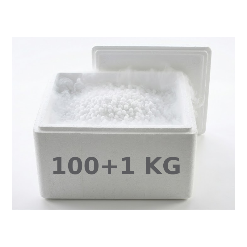 Suchy lód 100 KG STYROBOX