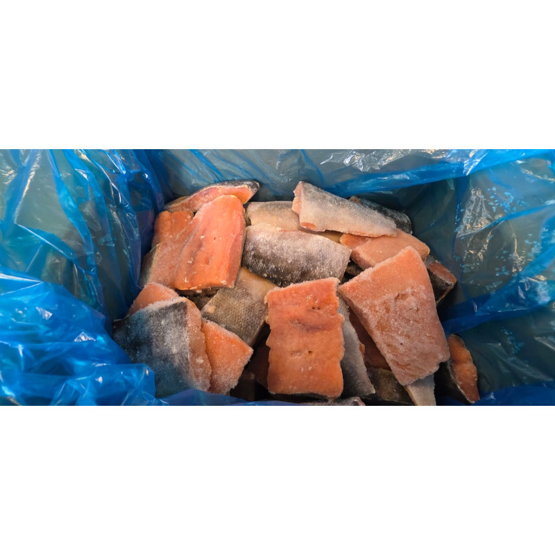 Łosoś porcje dziki pacyficzny ze skórą 5kg