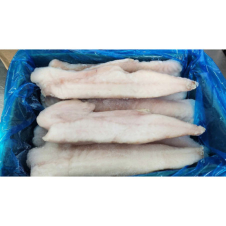 Żabnica filety mrożone bez skóry - hurt | O-fish