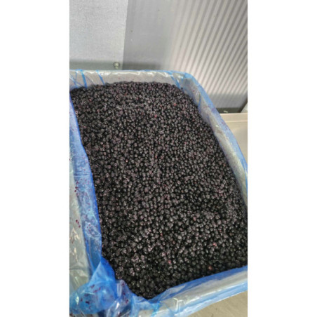 Czarny bez mrożony 5 kg - naturalne owoce do przetworów, soków i syropów | O-fish.pl