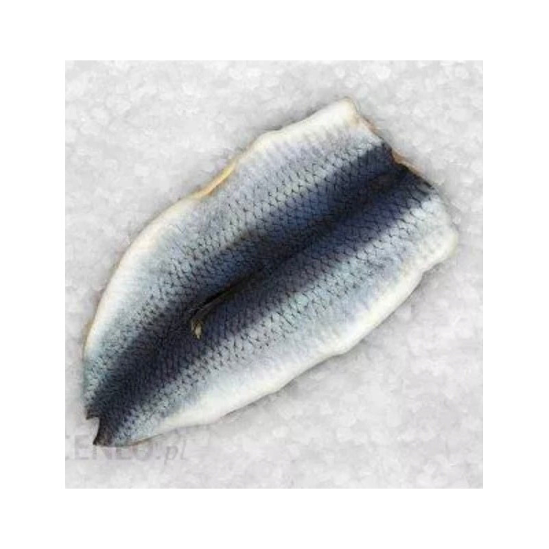 Śledź w Płatach Mrożony 2 kg | Hurtownia Rybna O-fish.pl