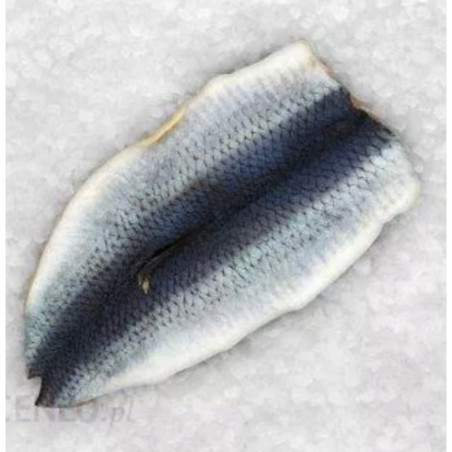 Śledź w Płatach Mrożony 2 kg | Hurtownia Rybna O-fish.pl