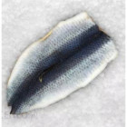 Śledź w Płatach Mrożony 2 kg | Hurtownia Rybna O-fish.pl