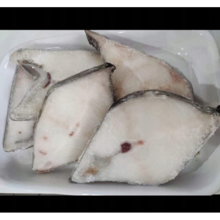 Steki zębacz - mrożone steki do gastronomii | O-fish