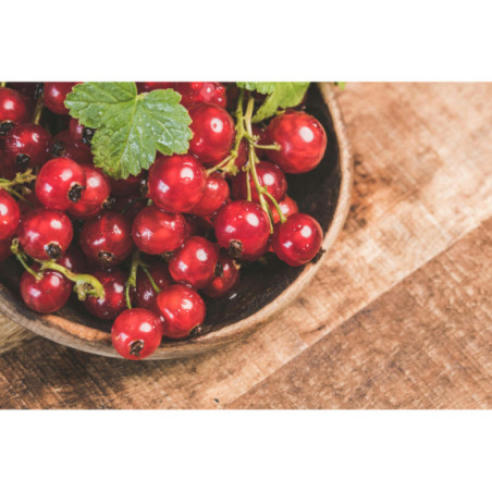 Czerwona porzeczka 2,5 kg - mrożone owoce hurt | O‑fish.pl