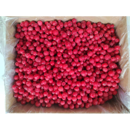 Czerwona porzeczka 2,5 kg - mrożone owoce hurt | O‑fish.pl